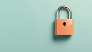 security website