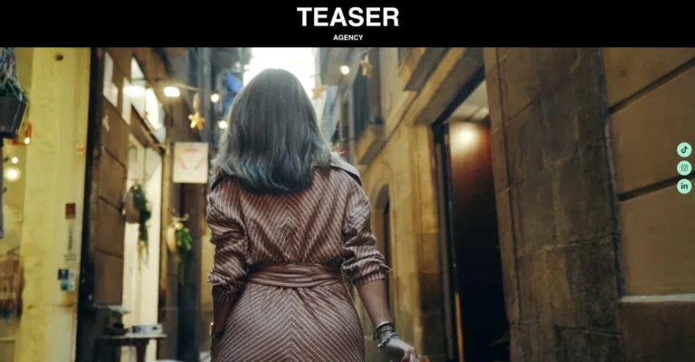 "Teaser" Design WordPress Agence de Com'