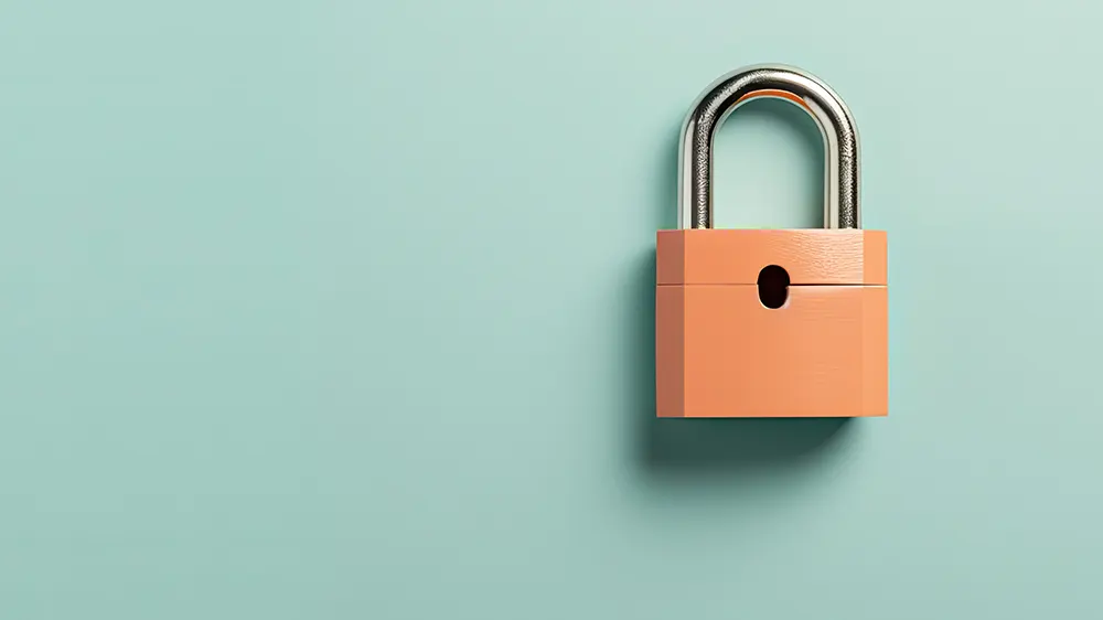 Pourquoi sécuriser son site internet?